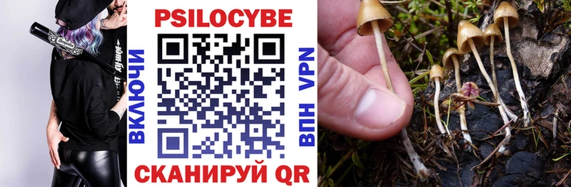 Псилоцибиновые грибы ЛСД  Владикавказ 